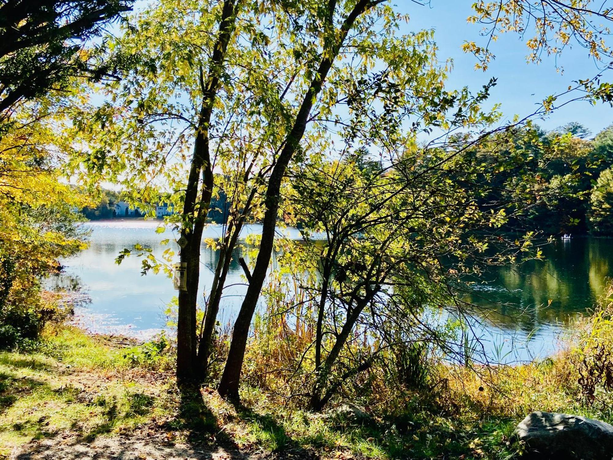 Clear Pond Suite Plymouth Exteriör bild