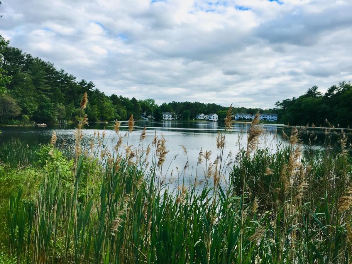 Clear Pond Suite Plymouth Exteriör bild